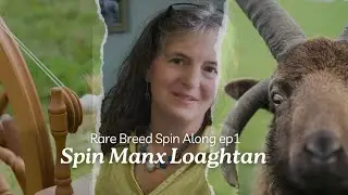 Spin Along with Me! Exploring the Rare Manx Loaghtan Breed