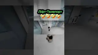 MYTH BUSTERS2 | МІФ БАСТЕРИ2 #roblox #brookhaven #memes #друзі #minecraft #fyr #backrooms #fu #metro