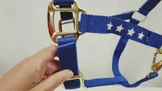 Derby Originals Patriotic Stars and Stripes Nylon Horse Halters with Matching 10&rsquo; Cotton Lead