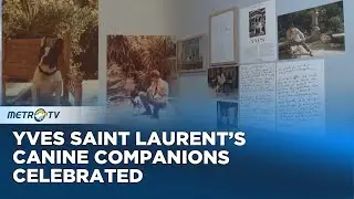 New Exhibition Celebrates Yves Saint Laurent's Dogs