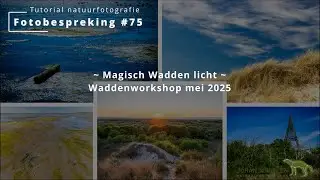 Fotobespreking #75 ~ Magisch Wadden Licht ~ waddenworkshop mei 2025