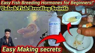 Easy Fish Breeding Hormones for Beginners Step-by-Step Guide to Success // easy making secretss