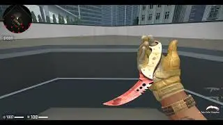 TALON KNIFE SLAUGHTER FN COMBINE WITH TRANSPORT MOTO GLOVES FT