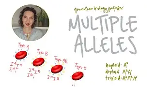 Tips for Working with Multiple Alleles!