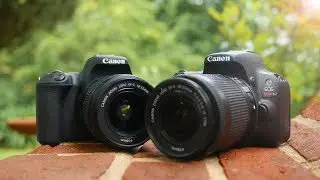 Canon SL2 (200D) против Canon SL1 (100D) &mdash; какая зеркальная фотокамера Canon лучше всего подходит новичкам?