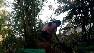 clean up drive activity