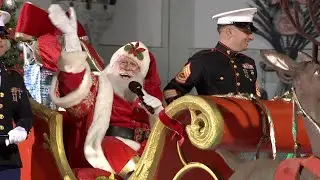 Hollywood Christmas Parade Red Carpet Interviews