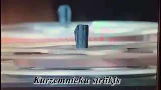 Kurzemnieku strīķis