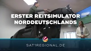 Training an erstem Reitsimulator Norddeutschlands
