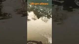 নদী দূষণ প্রতিরোধ #নদী দূষণ #bangladesh #পরিবেশ