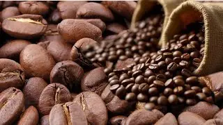 حبات القهوة لعشاق نكهة القهوة جبت ليك بسكوي الذ منو مكاين جربيه على ضمانت💯👌🍪🍫