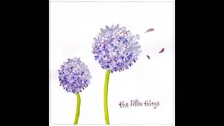 Tover, Arlo, Emi Grace - the little things