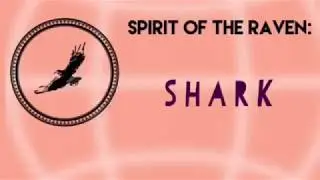 What Shark as a Spirit Animal Means | Shark Totem | Spirit of the Earth