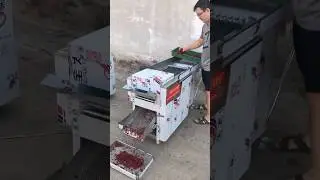 辣椒干切段机Dried Chili Segment Cutting Machine Mesin Pemotong Cili Kering (Potong Bahagian)