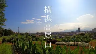横浜市緑区最高峰！高尾山を目指せ！