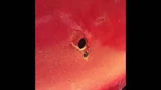 Kit car nose cone repair 6