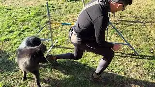 2026-01-04 - Home - Training - Human Arrow