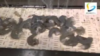[GRANDBELL]GB430 그랜드벨 새우탈각기 Shrimps peeling machine (주)그랜드벨 GRANDBELL