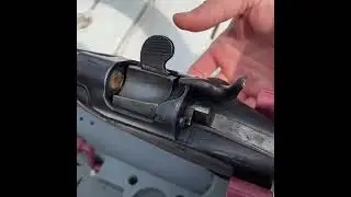 Werndl 1867/77 Loading and Ejection Video