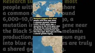 All Blue-Eyed Humans Came From ONE Ancestor? 😱🧬