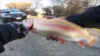 Trout fishing with Notorious Custom Jigs stickbait at Lake Pardee & Lake Camanche south shore pond