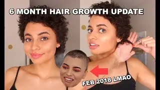 6 MONTH HAIR GROWTH UPDATE (Shaved Head)