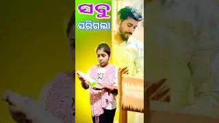 ସବୁ ସରିଗଲା 😔| #shorts #minivlog