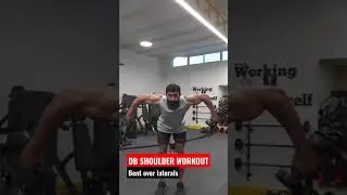 DUMBBELL WORKOUT | shoulder exercise | bent over laterals | BIGLEE