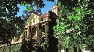 Francis Ford Coppola and the Inglenook name