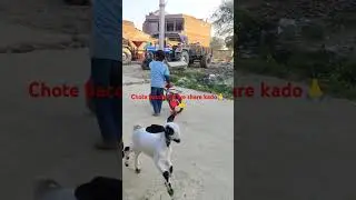chota riders #indian #funny