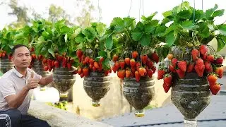 STRAWBERRIES IN PLASTIC BOTTLES WHAT HAPPENED NEXT IS CRAZY!
