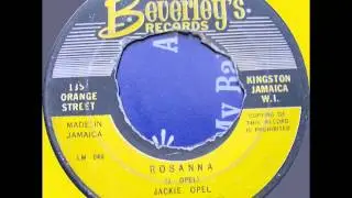 JACKIE OPEL   ROSANNA