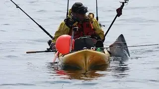 Porbeagle shark, Catch and release huge one from a kayak. Malin head