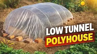 Sabjiyon ki nursery ke liye Sasta Polyhouse#agriculture #farming #kheti #kisan #indianfarmer #garden
