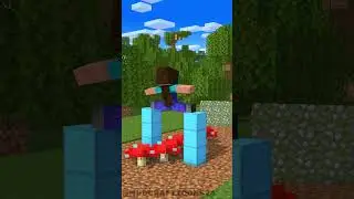 CARGO SKATES RUN With Noob Girl and Derp #funnyshorts #fypシ #minecraftshorts