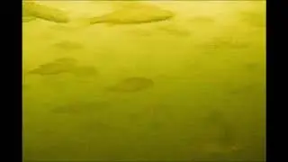 подводная съемка