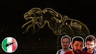CHI E' ANTS ITALIA? - Allevare formiche e Mirmecologia