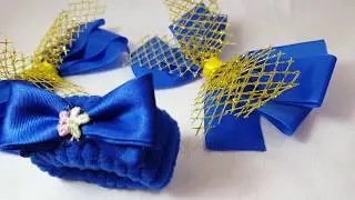 Blue Hair Accessories