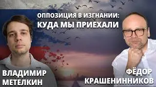 Оппозиция в изгнании: куда мы приехали I Федор Крашенинников и Владимир Метелкин