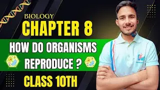 How Do Organisms Reproduce? 🧬 | Full Chapter Explained | Class 10 Science | Easy & Fast Revision