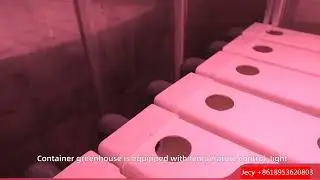 Different types of hydroponcis container for micro greens#hydroponics#container
