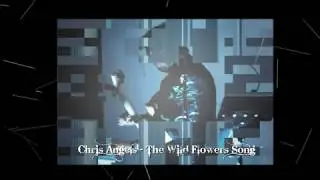 Chris Angels - The Wild Flowers Song