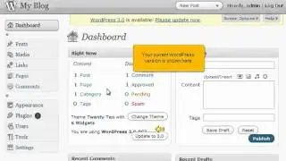 How to update your Wordpress installation (Flipper Host)