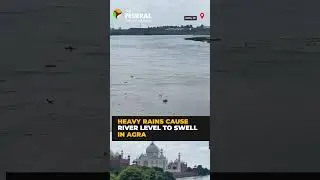Yamuna river water rises near Taj Mahal after heavy rains | #shorts