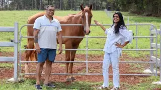 Avodah estate in Wondecla Atherton highlands house/Holiday/family trip#holiday #youtubeblogger #blog