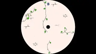 Gavinco - Interflow