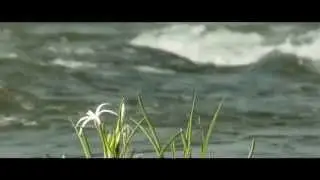 ~ तू बुद्धी दे - डॉ . प्रकाश बाबा आमटे - द रिअल हिरो ~