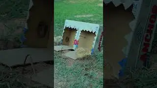 Creative DIY Techniques for Building an Unbelievable Quail Trap #creative #simplediy #technique