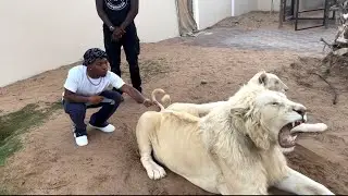 Im Stuck In Dubai!🤦🏾‍♂️ *I got robbed by a monkey*