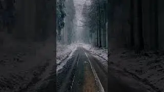 Who els love frosty winter walks! #europe #germany #travel #country #forest